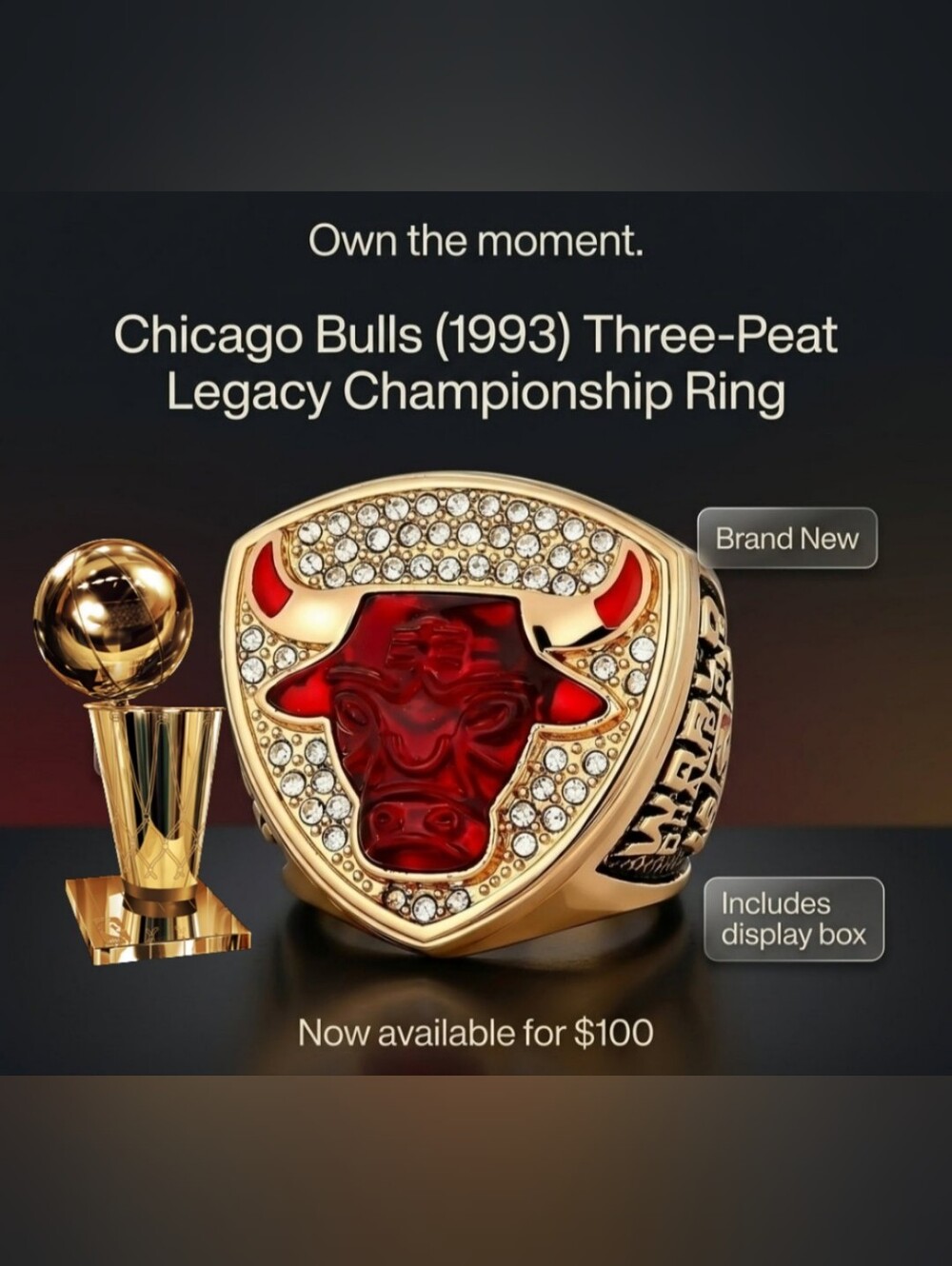 MICHAEL JORDAN BULLS 1993 NBA MVP CHAMPIONSHIP SIZE 10.5 RING w/HARDWOOD RINGBOX